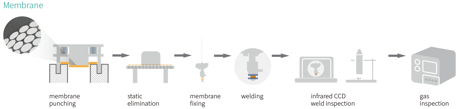 Membrane-1.png