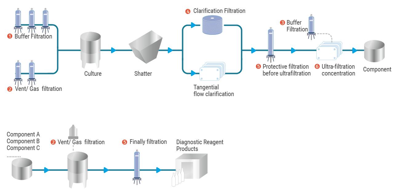 Diagnostic Reagents - Biopharmaceuticals - Cobetterfiltration