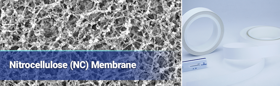 Nitrocellulose-membrane-01-cbt.png